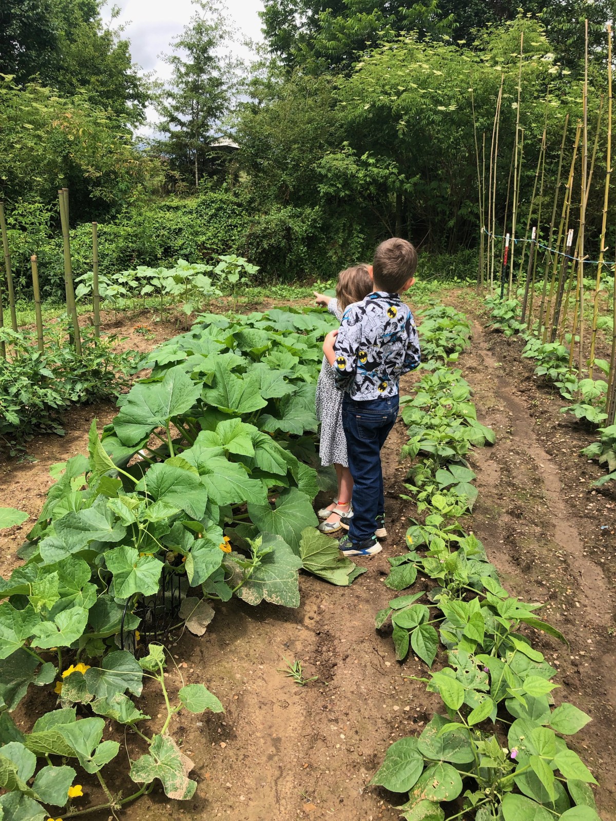 Gardening Tips:                    How to Get Rid of&nbsp;Zucchini