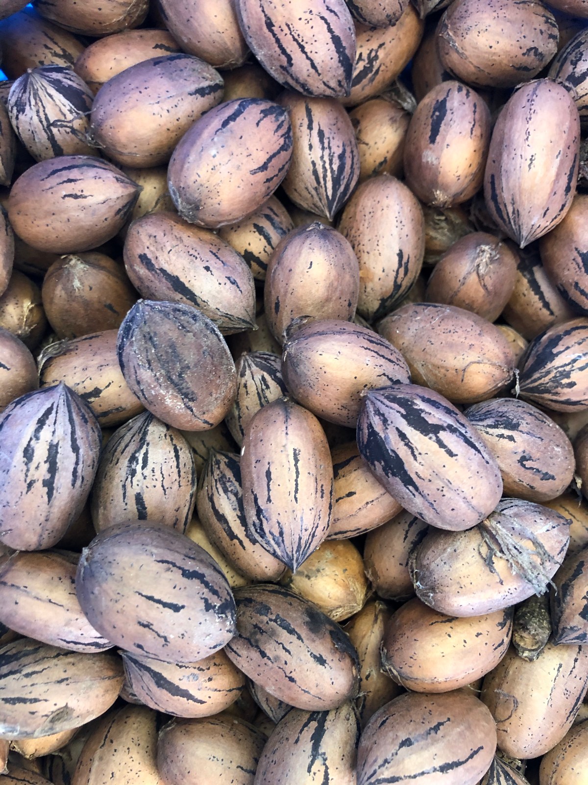 Pecans