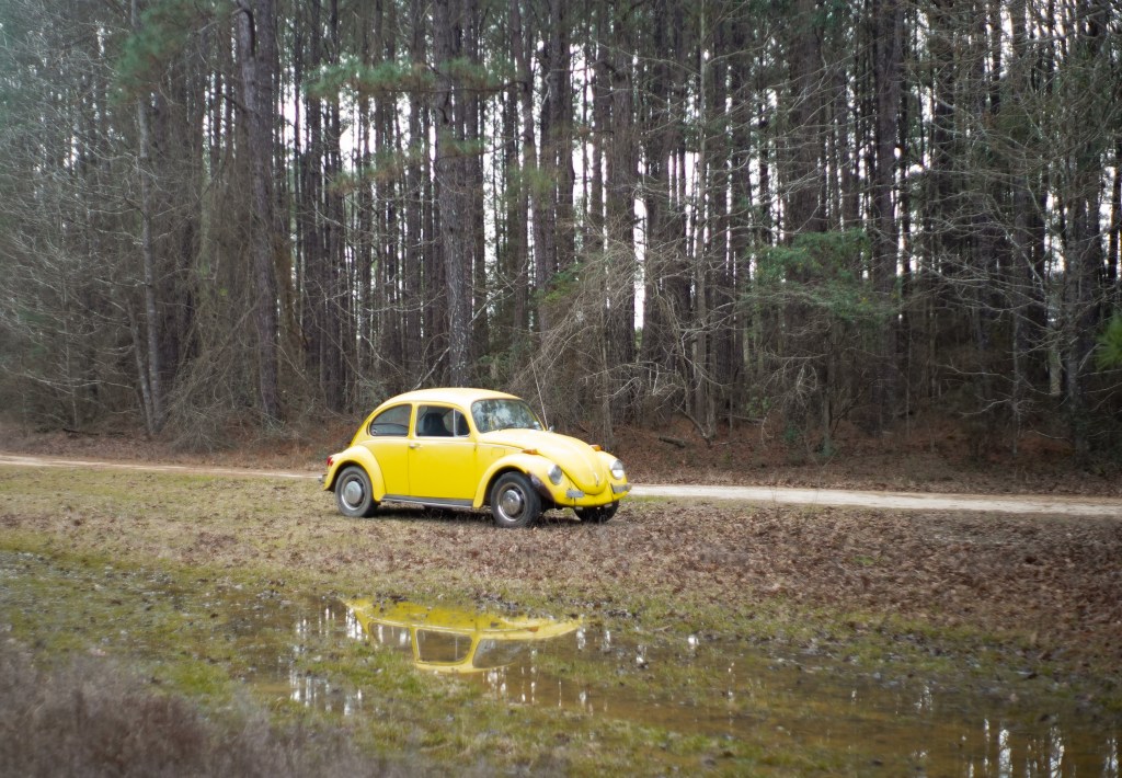 I think that it is healthy to have hobbies or areas of interest.