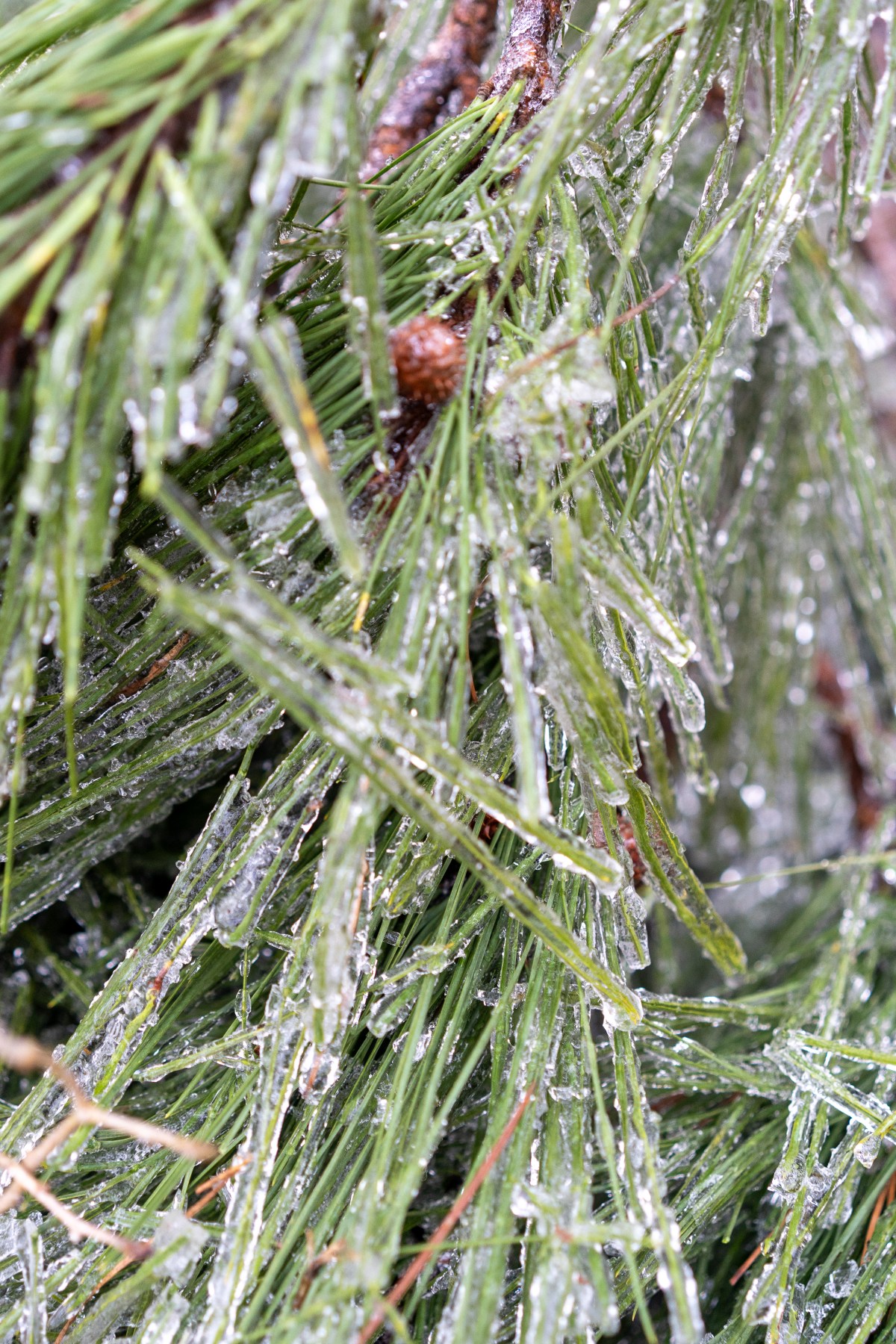 It is only cold until you can’t feel&nbsp;it